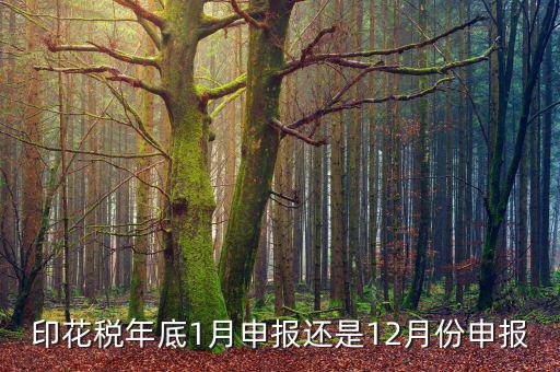 印花稅年底1月申報還是12月份申報