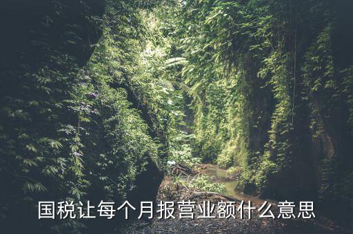 國(guó)稅每月報(bào)稅的是什么意思，請(qǐng)問(wèn)每月抄稅和報(bào)稅各是什么意思