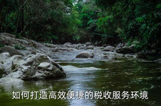 什么是稅務(wù)延時服務(wù)，去辦國稅跟地稅超期一天怎么辦