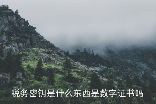 稅務(wù)密鑰是什么東西是數(shù)字證書嗎