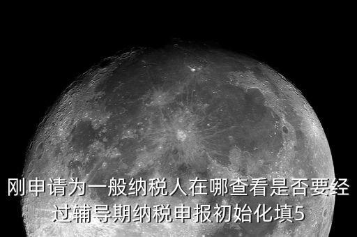 剛申請(qǐng)為一般納稅人在哪查看是否要經(jīng)過輔導(dǎo)期納稅申報(bào)初始化填5