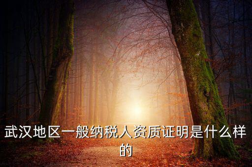 納稅資質(zhì)證明是什么意思，什么是稅務(wù)證明