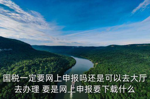 地稅進(jìn)國稅要下載什么，深圳國地稅想網(wǎng)上申報(bào)要下載什么東西嗎