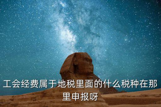 工會活動費中稅是什么，工會經(jīng)費屬于地稅里面的什么稅種在那里申報呀