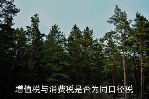 稅收可比口徑什么意思，稅收比重什么意思