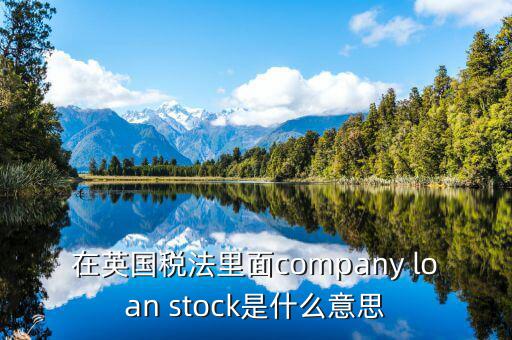 英國出國稅 是什么意思，在英國稅法里面company loan stock是什么意思