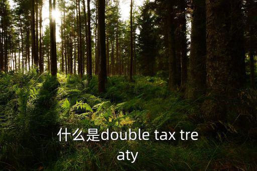 什么是double tax treaty