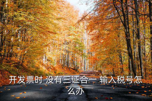 開發(fā)票時(shí) 沒(méi)有三證合一 輸入稅號(hào)怎么辦