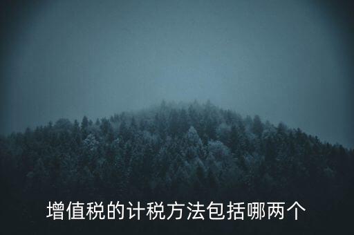 增值稅的計稅方法包括哪兩個