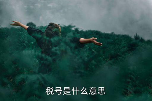 納稅號(hào)碼是什么意思，稅號(hào)是什么意思