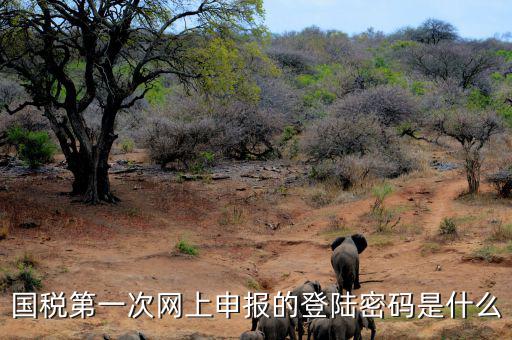 國稅第一次網(wǎng)上申報(bào)的登陸密碼是什么