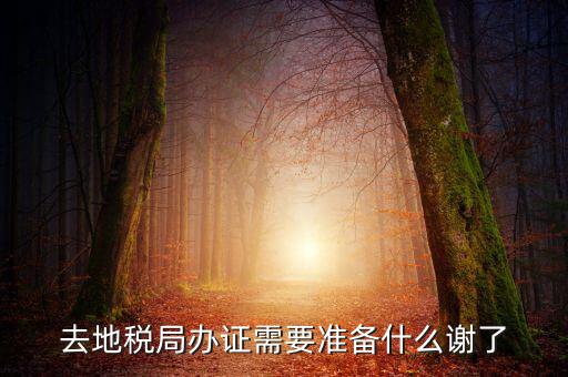 地稅局辦理什么，地稅局開發(fā)票需要辦什么手續(xù)