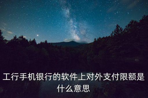 工行手機銀行的軟件上對外支付限額是什么意思