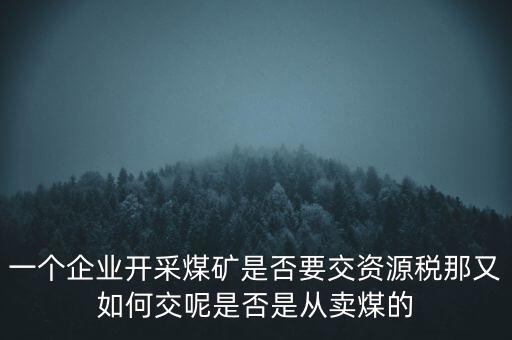 一個(gè)企業(yè)開(kāi)采煤礦是否要交資源稅那又如何交呢是否是從賣煤的