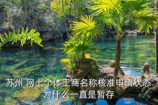 蘇州 網(wǎng)上個(gè)體工商名稱(chēng)核準(zhǔn)申請(qǐng)狀態(tài)為什么一直是暫存