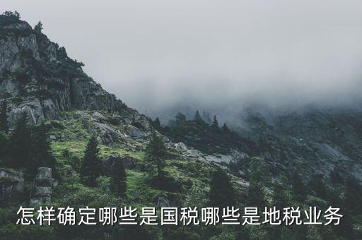 業(yè)務(wù)地稅是什么，地稅申報中業(yè)務(wù)種類是什么