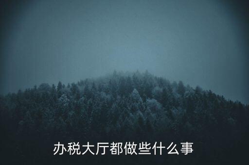 辦稅大廳都做些什么事