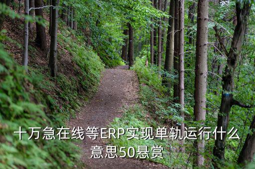 十萬急在線等ERP實現(xiàn)單軌運行什么意思50懸賞