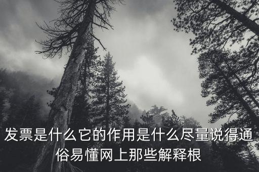 在線發(fā)票是什么意思，電子發(fā)票號碼是什么意思