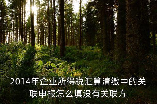 2014年企業(yè)所得稅匯算清繳中的關(guān)聯(lián)申報(bào)怎么填沒有關(guān)聯(lián)方