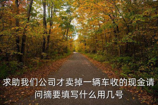 求助我們公司才賣掉一輛車收的現(xiàn)金請問摘要填寫什么用幾號(hào)