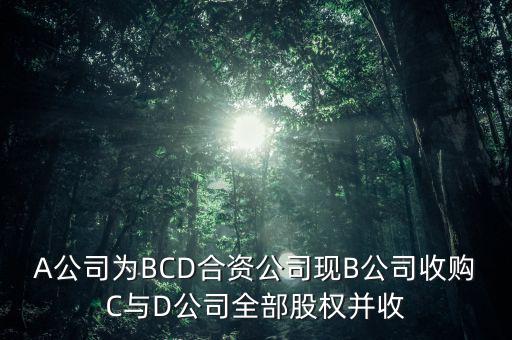 A公司為BCD合資公司現(xiàn)B公司收購C與D公司全部股權(quán)并收