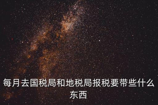 國稅大廳報(bào)稅需要什么，你好請(qǐng)教你一下如果我去國稅大廳報(bào)稅的話都需要帶什么東西填