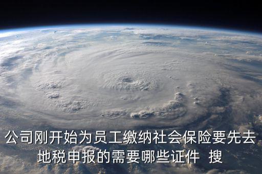 公司剛開始為員工繳納社會保險要先去地稅申報的需要哪些證件  搜