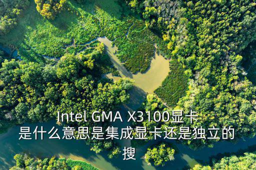 國稅集成理念是什么意思，Intel GMA X3100顯卡 是什么意思是集成顯卡還是獨立的  搜