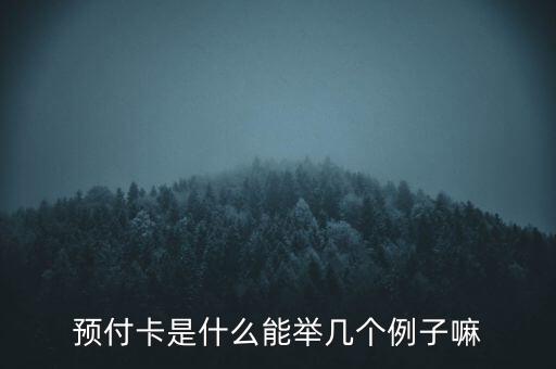 預付卡是什么能舉幾個例子嘛