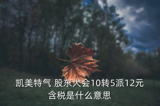 凱美特氣 股東大會10轉5派12元含稅是什么意思