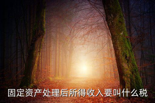 什么叫做試點(diǎn)納稅人，固定資產(chǎn)處理后所得收入要叫什么稅