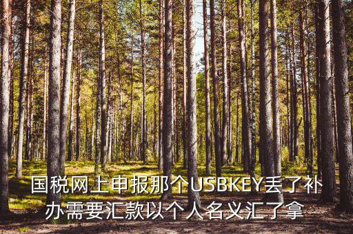 稅務(wù)ukey是什么意思，國稅網(wǎng)上申報那個USBKEY丟了補辦需要匯款以個人名義匯了拿