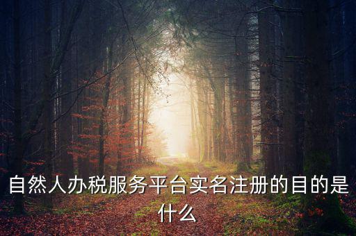 自然人辦稅服務(wù)平臺實(shí)名注冊的目的是什么