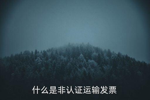 運輸票是什么，運輸發(fā)票是普通發(fā)票嗎