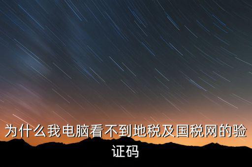 為什么我電腦看不到地稅及國(guó)稅網(wǎng)的驗(yàn)證碼