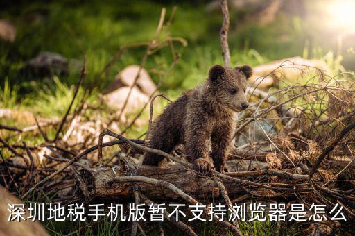 深圳國稅網站用什么瀏覽器打開，國稅網為什么看不到增值稅申報表平時一打開這個頁面就可以點擊看