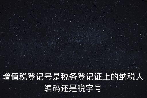 一般納稅人登記編號是什么，納稅人編號是什么