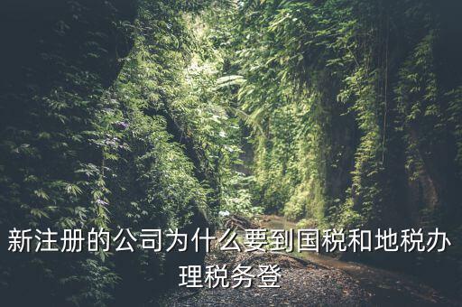 新注冊的公司為什么要到國稅和地稅辦理稅務(wù)登