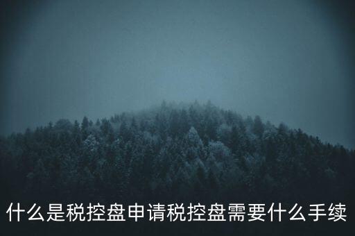 什么是稅控盤申請(qǐng)稅控盤需要什么手續(xù)