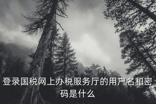 登錄國稅網(wǎng)上辦稅服務廳的用戶名和密碼是什么