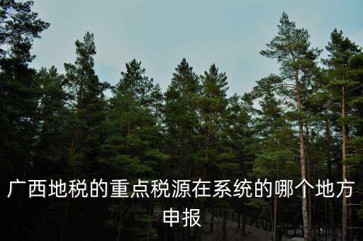 廣西地稅網(wǎng)是什么，進(jìn)入廣西地稅網(wǎng)后為什么網(wǎng)上辦稅大廳會(huì)進(jìn)不去