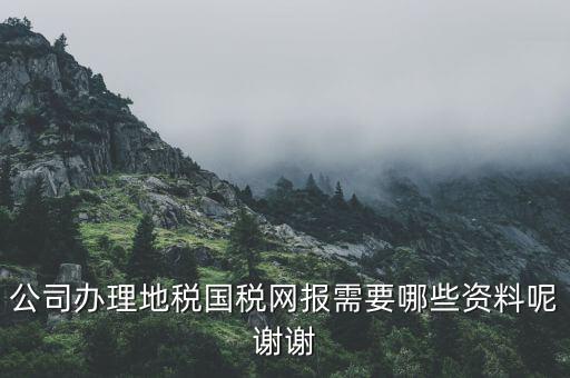 公司辦理地稅國稅網(wǎng)報需要哪些資料呢謝謝