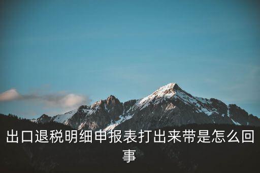 出口退稅明細(xì)申報表打出來帶是怎么回事