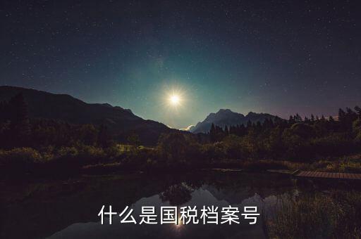 什么是國稅檔案號