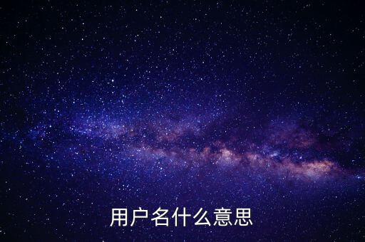 微稅用戶名是什么意思啊，用戶名什么意思