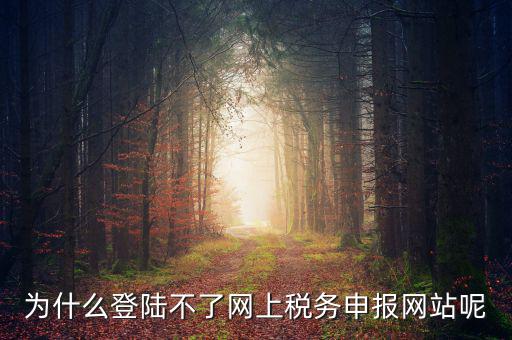 為什么登陸不了網(wǎng)上稅務(wù)申報(bào)網(wǎng)站呢