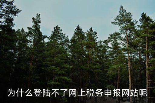 為什么登不上電子稅務(wù)局，為什么登陸不了網(wǎng)上稅務(wù)申報(bào)網(wǎng)站呢