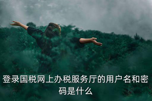 登錄國稅網上辦稅服務廳的用戶名和密碼是什么