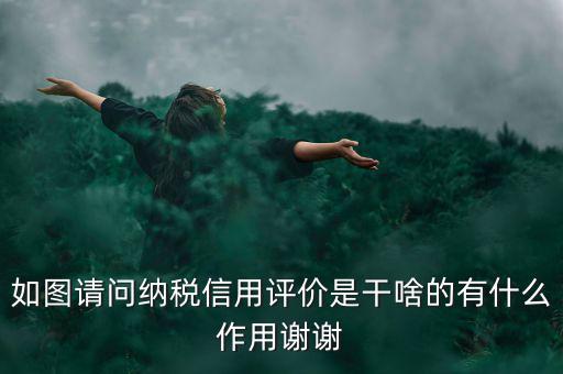 如圖請問納稅信用評價是干啥的有什么作用謝謝